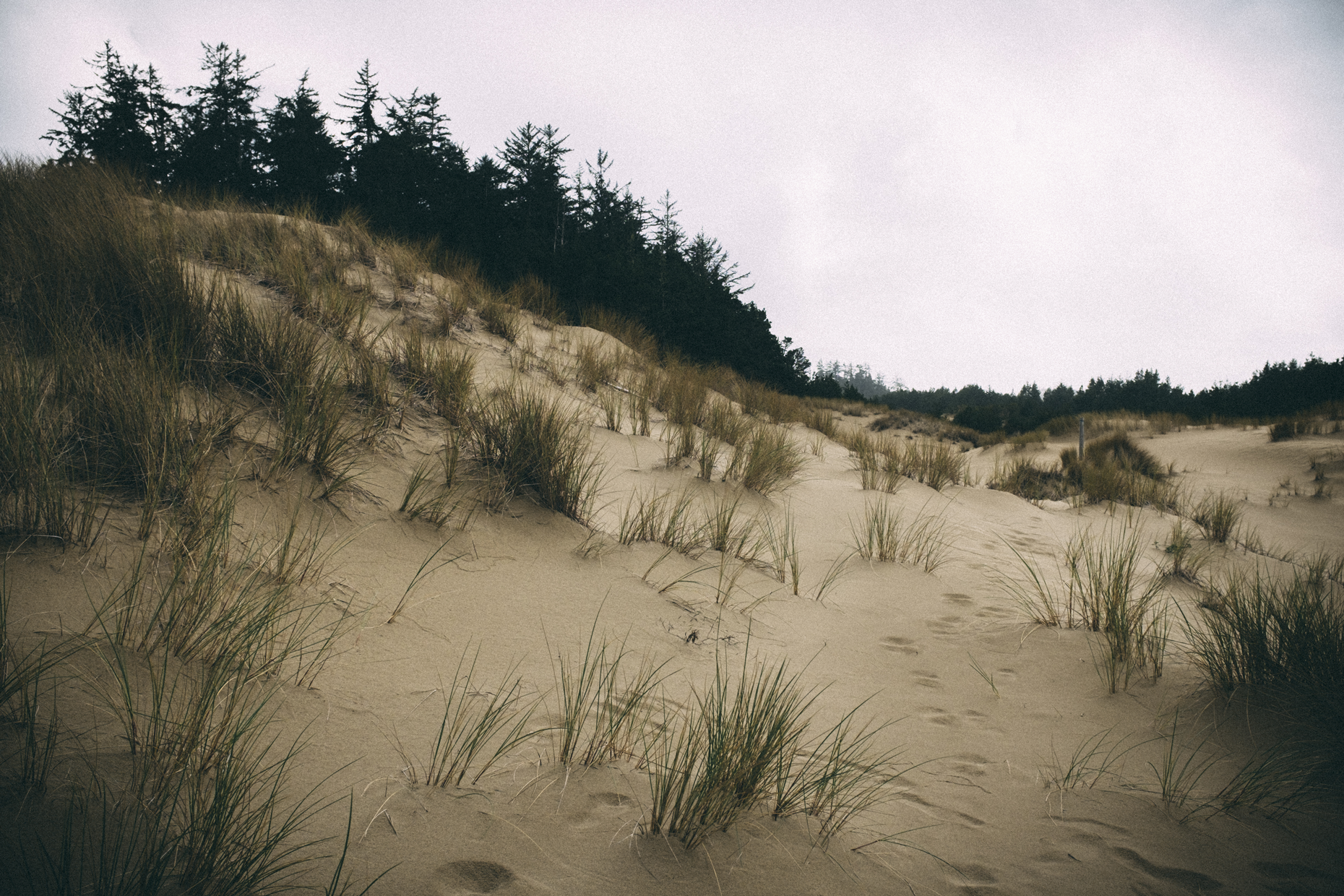 160329_Oregon-5638