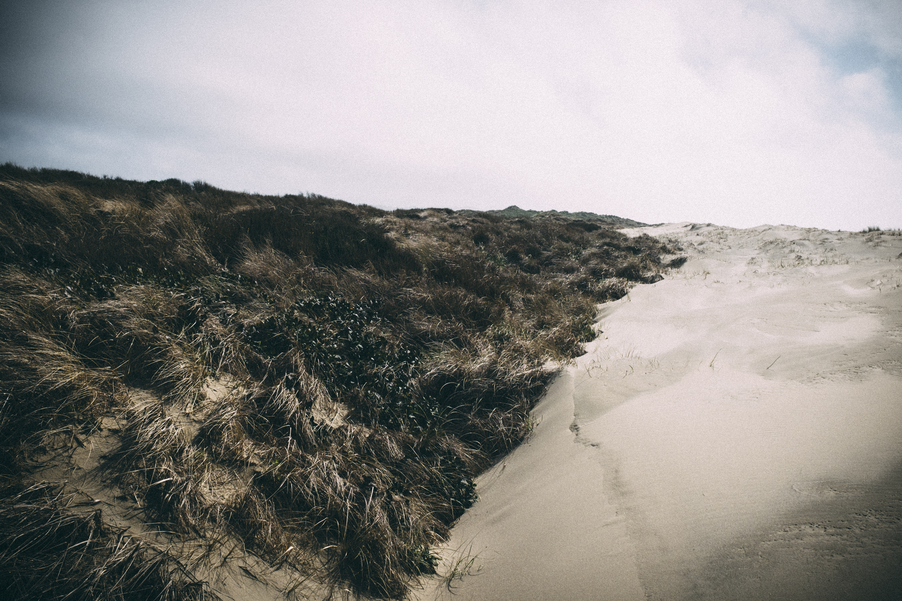 160329_Oregon-5685