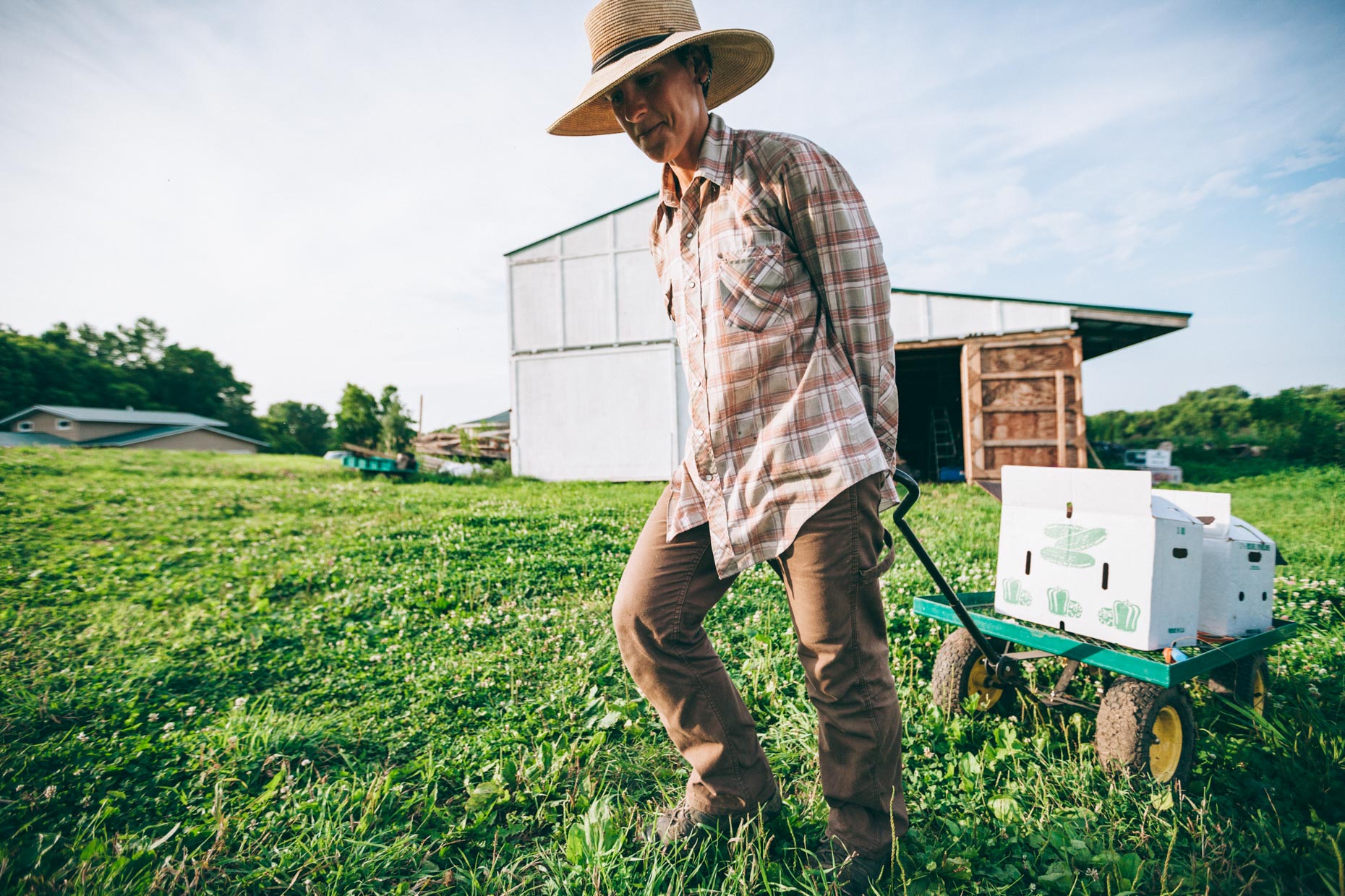 160721_4thStreetFarm-6551